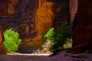 Buckskin Gulch Afternoon Small-1