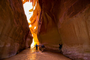 Hikers Wading Canyon Small-1